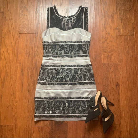 🌈 BCBG Lace Stripe Dress in Warm Grey | Size 6 - Picture 1 of 9